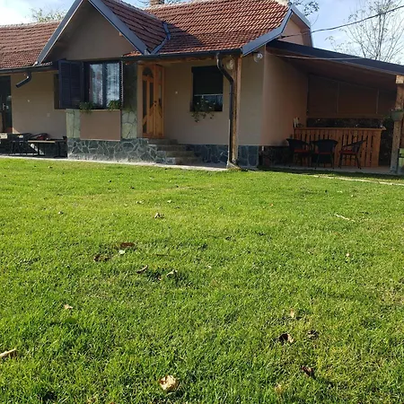 Dvor Apartman Villa Donja Toponica