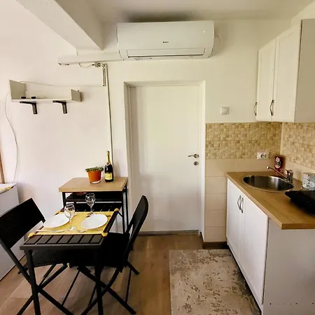 Villa Dvor Apartman Donja Toponica
